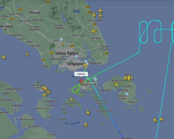 Scoot flight bound for Perth escorted back to Singapore due to bomb threat; passenger arrested