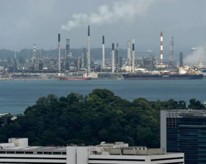 Singapore sets eligibility criteria for international carbon credits to offset firms’ taxable emissions