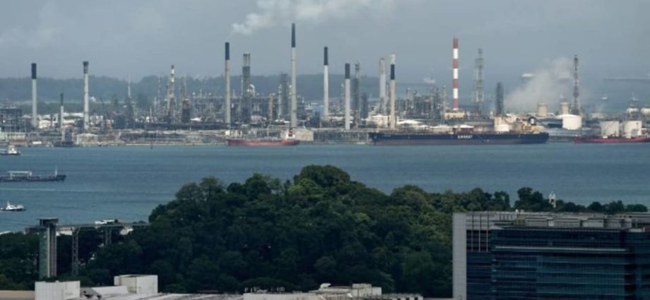 Singapore sets eligibility criteria for international carbon credits to offset firms’ taxable emissions