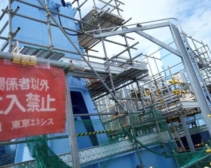 UN inspectors test Fukushima fish