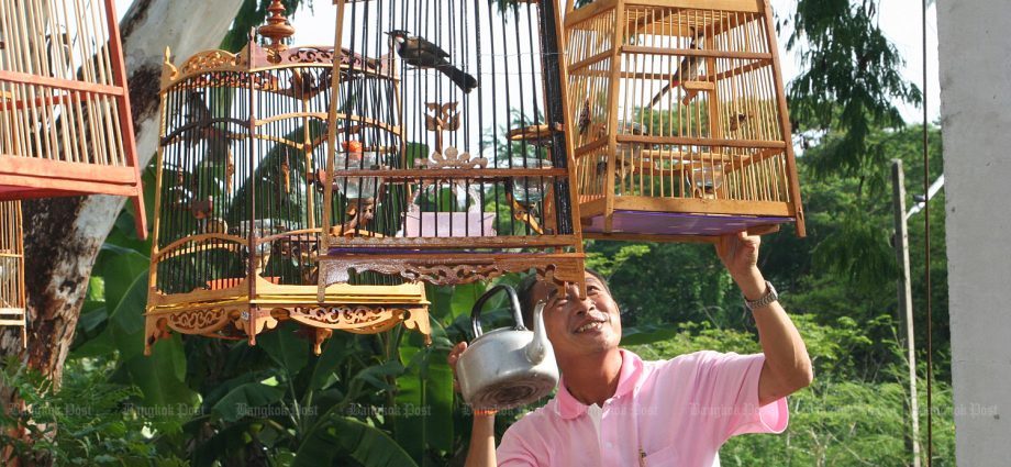 Bird breeders seek bulbul delisting to boost economy