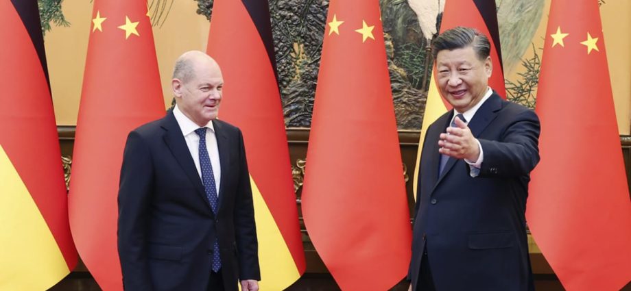 China-Germany cooperation has become more solid and dynamic: Xi