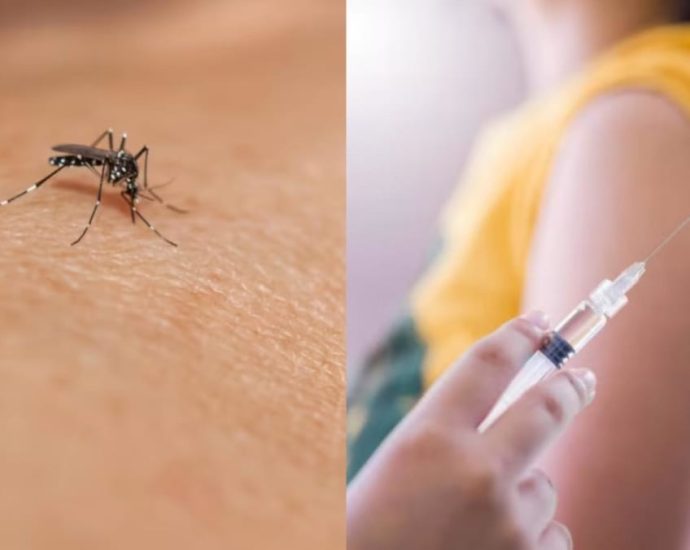 Commentary: Singaporeâs dengue problem wonât go away without a vaccine