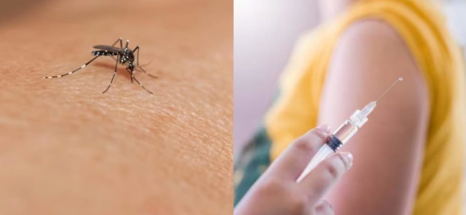 Commentary: Singaporeâs dengue problem wonât go away without a vaccine