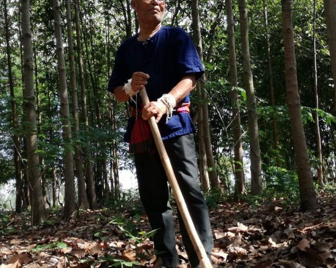 Eco-warrior Wichai Suriyuth dies at 77