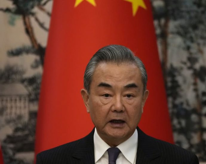 Europe should not shy away from working with China, says Wang Yi