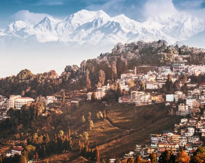 Exploring India's Darjeeling: From tea plantations and a toy train to a view of Mount Everest
