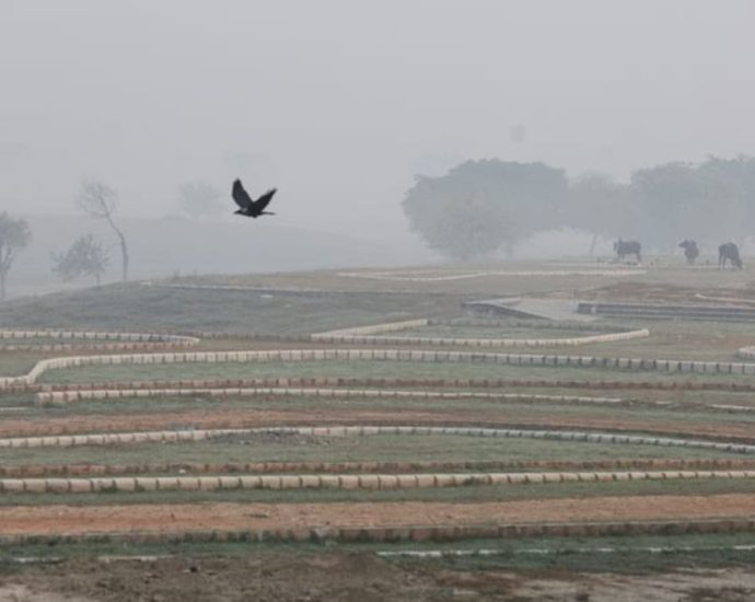 India’s top court tells states to stop crop burning as New Delhi’s air turns hazardous