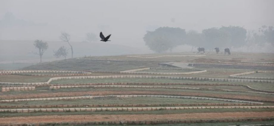 India's top court tells states to stop crop burning as New Delhi's air turns hazardous