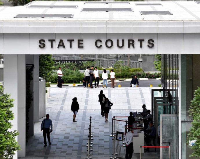 Man sues woman after losing S,500 investment following hacking of trading platform, loses