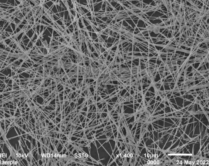 Nanowire ‘brain’ learns more efficiently than computer AI