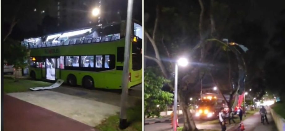 Passenger injured after double-decker bus crashes into tree branches in Bishan