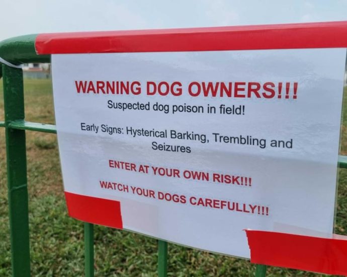Poisoning 'most likely cause' of dog deaths linked to Parry Avenue field