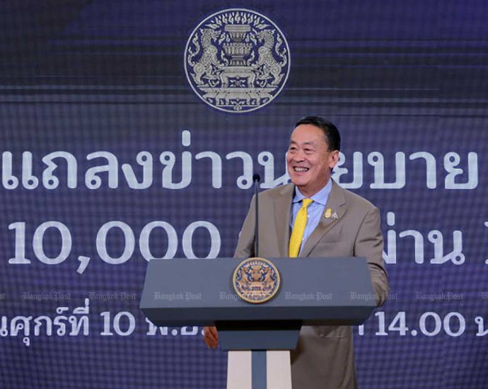 Public split on govt handout, but most oppose funding plan: poll