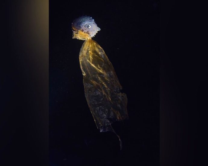 Singaporean photographer clinches top prize at global competition with image of mollusk and plastic bag