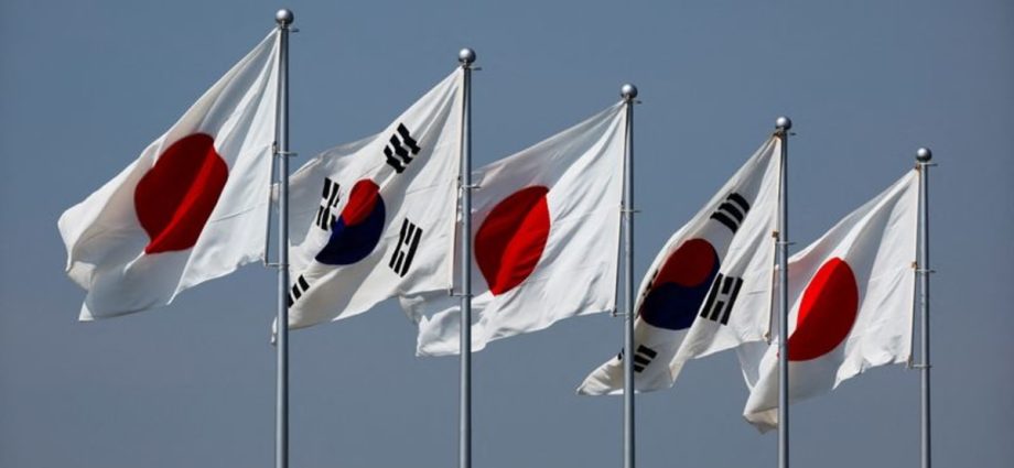 South Korea court orders Japan to compensate former sex slaves, reverses earlier ruling
