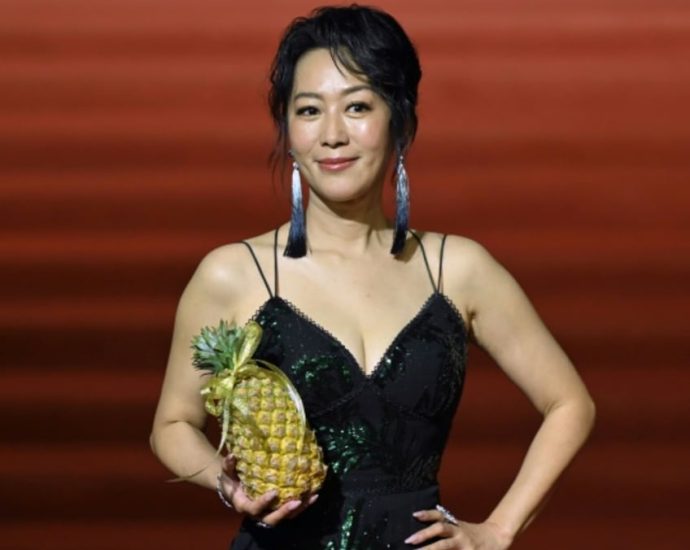 Taiwan's Golden Horse film awards sees return of Chinese stars