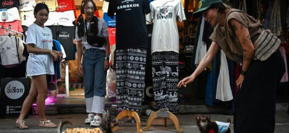 Thai TikTokers make ‘elephant pants’… cool?