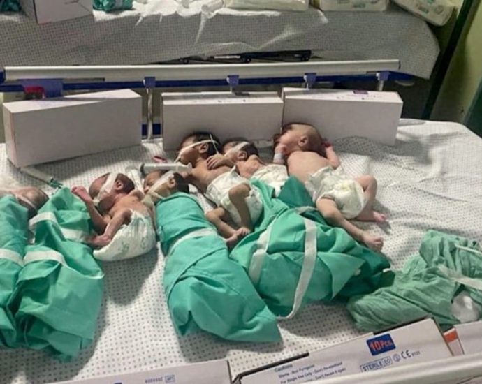 Too close and too cold, premature babies in grave peril at Gaza's Al-Shifa hospital