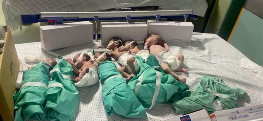 Too close and too cold, premature babies in grave peril at Gaza’s Al-Shifa hospital