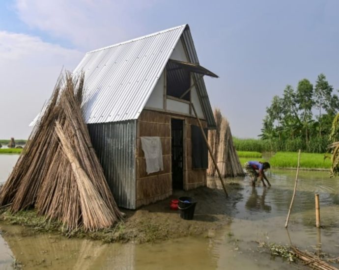 Bangladesh's 'tiny houses' tackle giant flood challenge