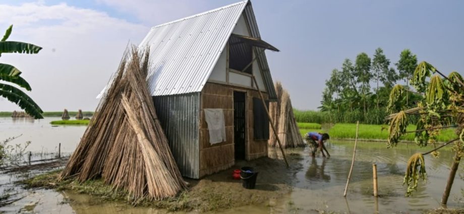 Bangladesh's 'tiny houses' tackle giant flood challenge