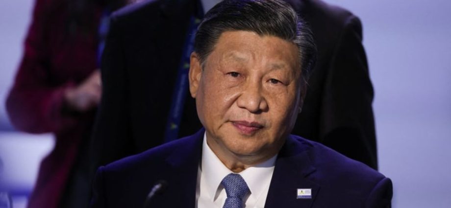 China's Xi says economic recovery 'still at critical stage'