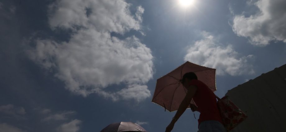CNA Explains: 2023 is the hottest year ever. How will tropical Singapore cope with record temperatures?
