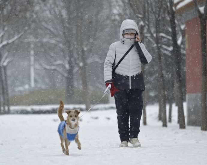 Cold wave grips northern China, south bracing for big chill