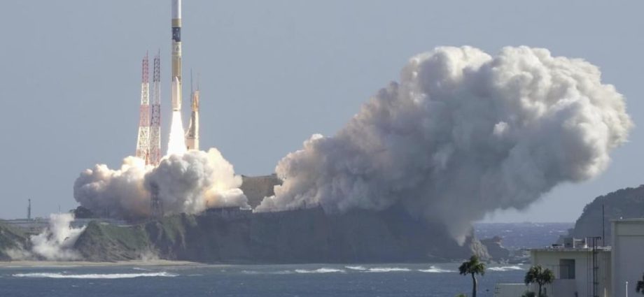 Cow dung fuels Japan's space ambitions