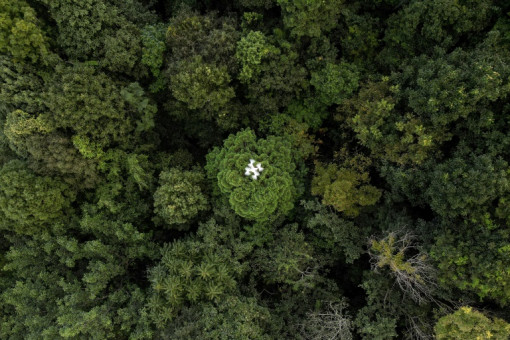 Drone in Chiang Mai helps solve forest carbon capture riddle