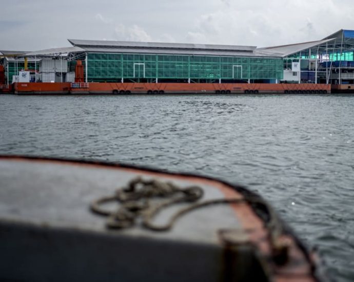 How does Singapore monitor radiation levels in water, land and air?