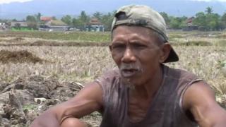 Indonesia asks military to help farmers plant rice