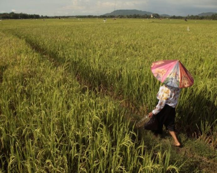 Indonesia calls in army to help farmers plant rice as drought curbs output