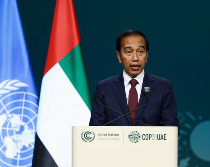 Indonesia keen to co-host 2025 U-20 World Cup with Singapore: President Jokowi