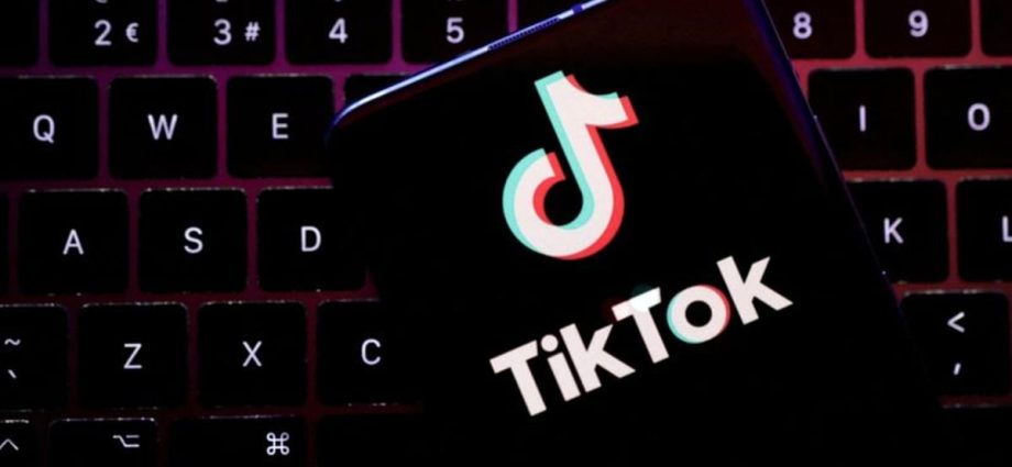 Meta, TikTok report jump in Malaysia govt requests to remove content in 2023
