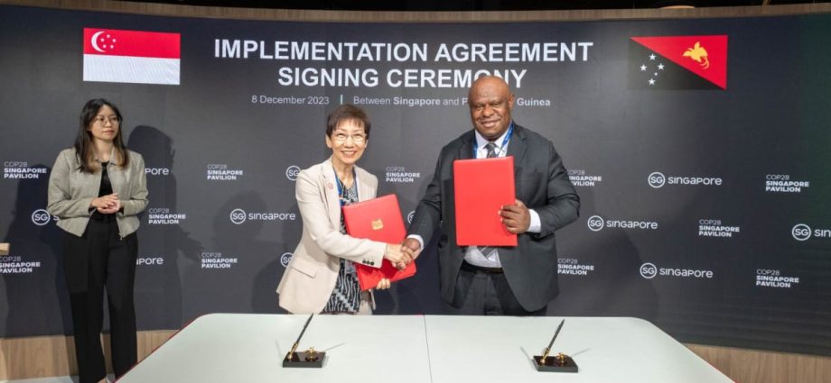 Singapore signs agreement with Papua New Guinea to cooperate on carbon credits