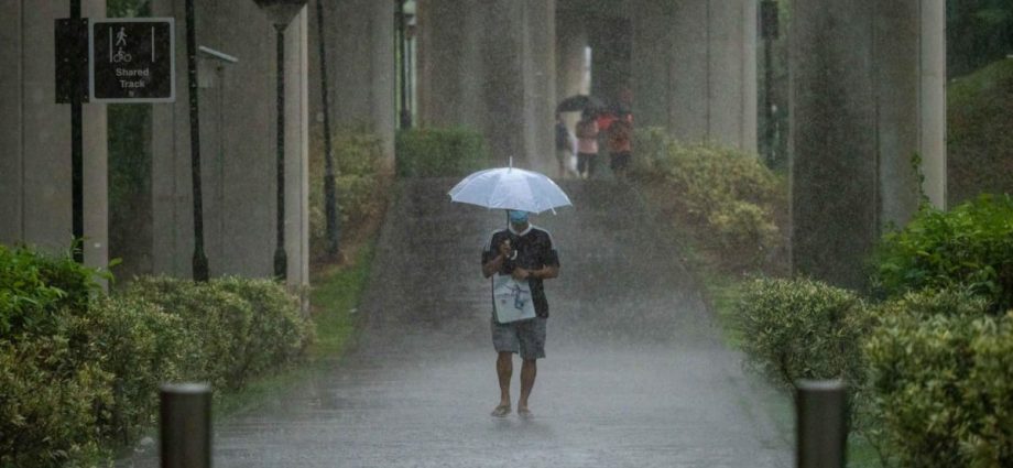 Singapore will not claim from climate loss and damage fund despite facing rising sea levels: Grace Fu