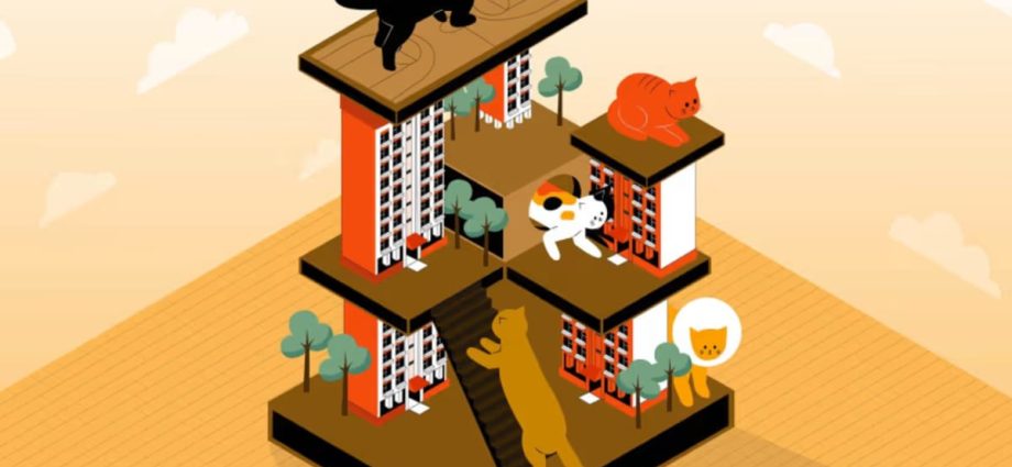 The Big Read: With the ban in HDB flats set to be lifted, can pet cats coexist in harmony with residents?