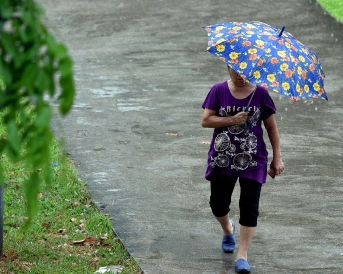 Wet weather to continue with thundery showers over first two weeks of December: Met Service