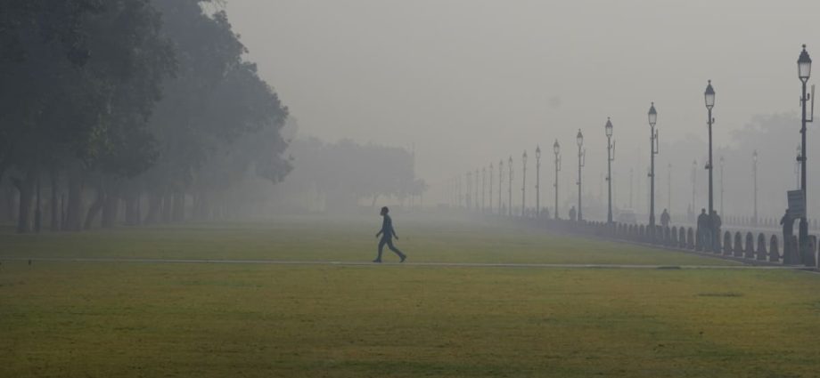 Air pollution and politics pose cross-border challenges in South Asia