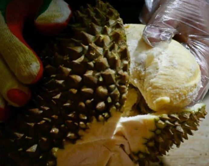 Chinaâs durian market ripens as Thailand loses ground, Vietnam and Philippines get a taste