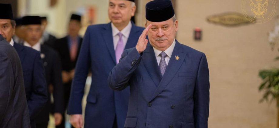 Commentary: Malaysiaâs new king wants to get more involved, but donât expect radical changes