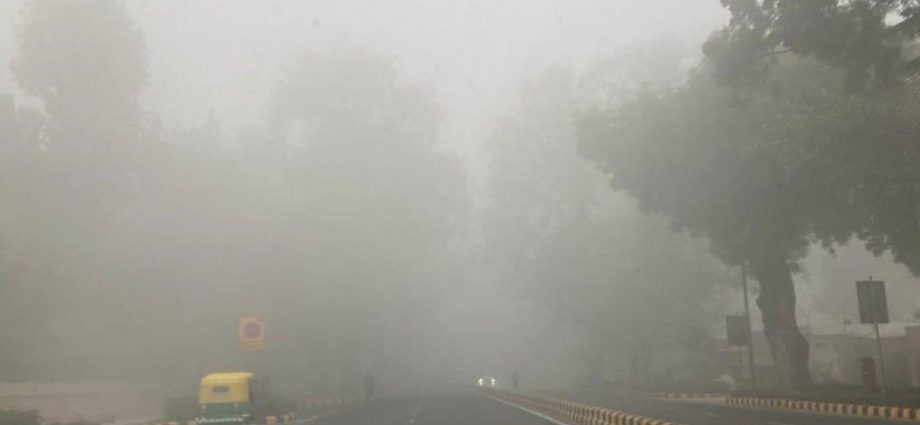 Delhi fog: Poor visibility disrupts life and travel in Indian capital