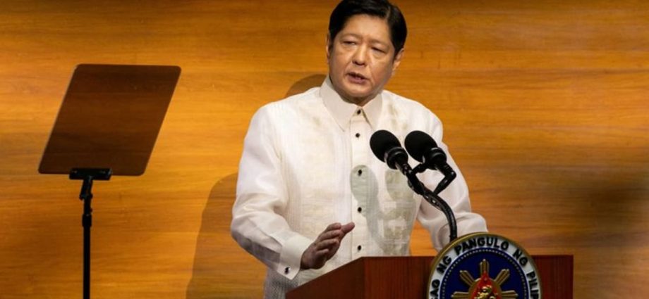 Former Philippine leader's son calls President Marcos 'lazy', urges him to quit