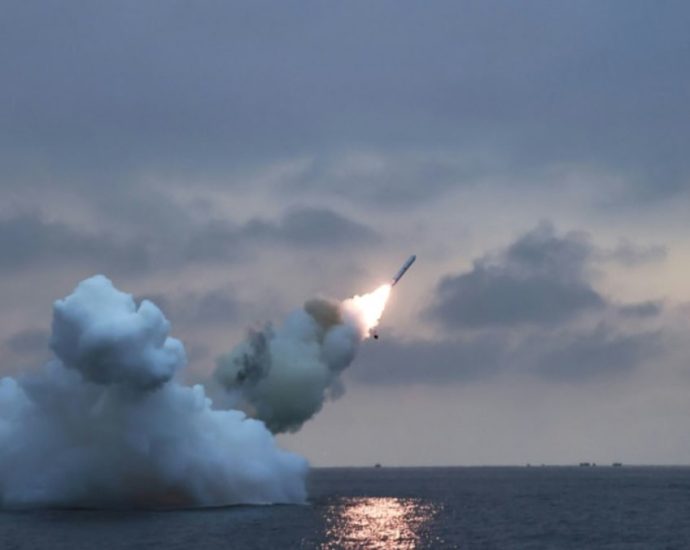 North Korea fires cruise missiles in fresh flurry of tests