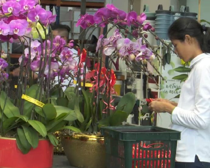 Rebound in demand for Chinese New Year plants, but increased competition could weigh on sales