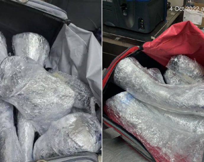 South African man admits to role in Singapore’s largest seizure of rhino horns after airport scan picks up clues