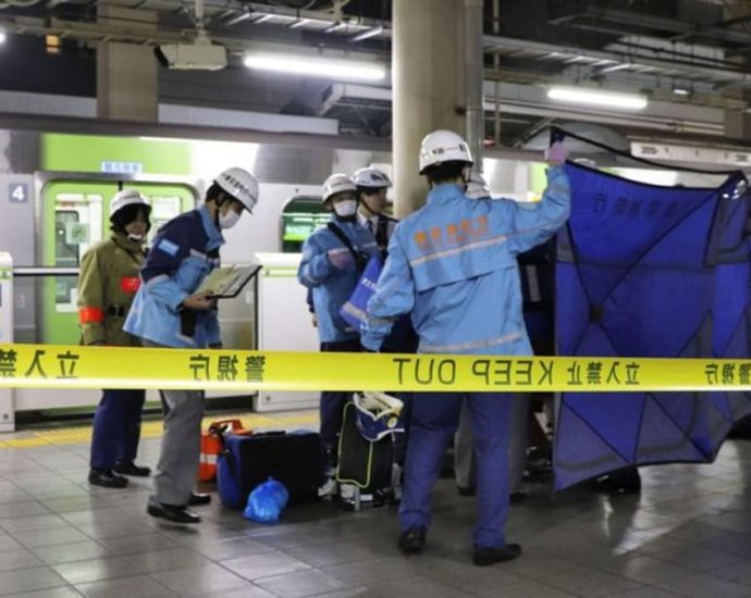 Three injured in stabbing incident on Tokyo train, woman in custody