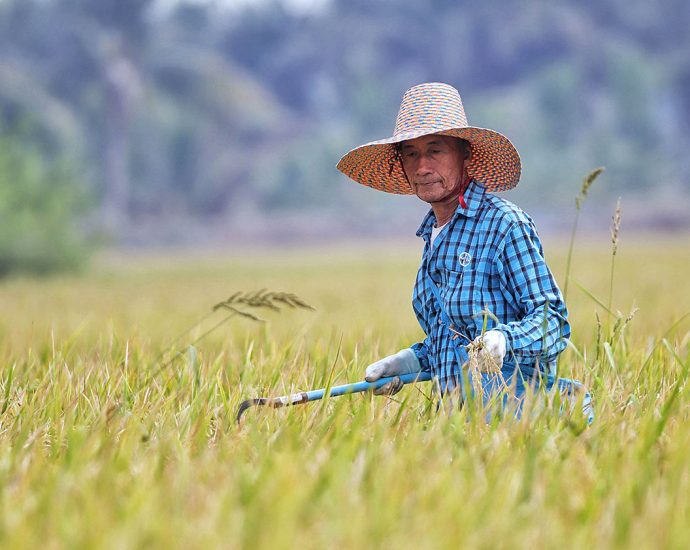 Agriculture ministry aims to triple farm incomes